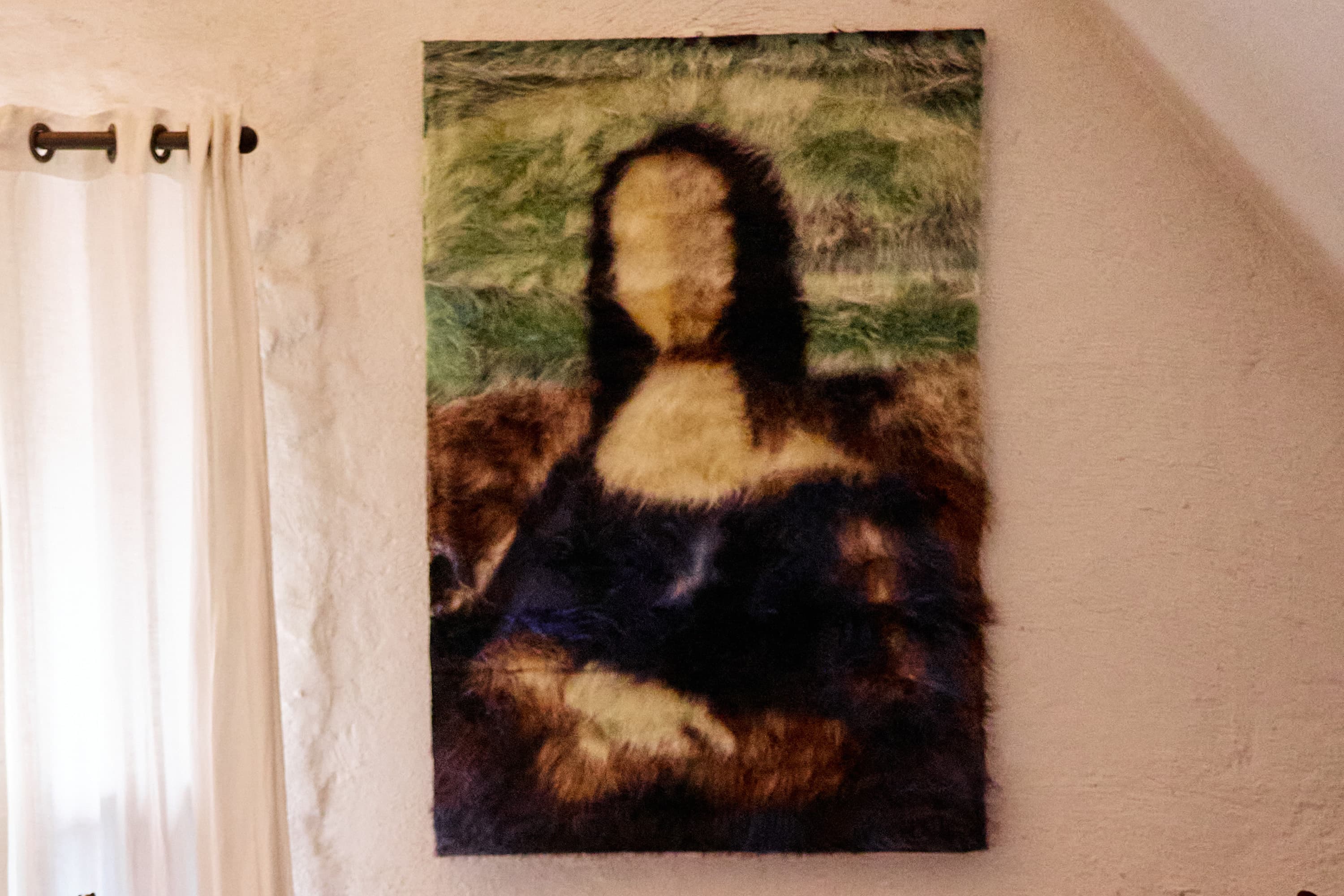 Fluffy Mona Lisa - Artwork